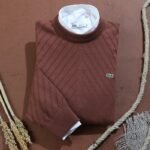 Lacoste basic Cotton Lycra Knit pullover - BROWN